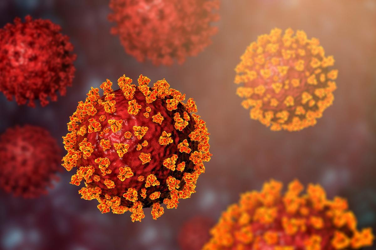 Study: The SARS-CoV-2 spike protein binds and modulates estrogen receptors. Image Credit: Kateryna Kon/Shutterstock