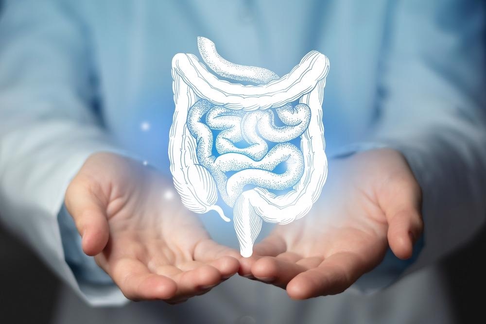 Study: Efficacy of Fecal Microbiota Transplantation for Patients with Irritable Bowel Syndrome at Three Years After Transplantation. Image Credit: mi_viri / Shutterstock.com