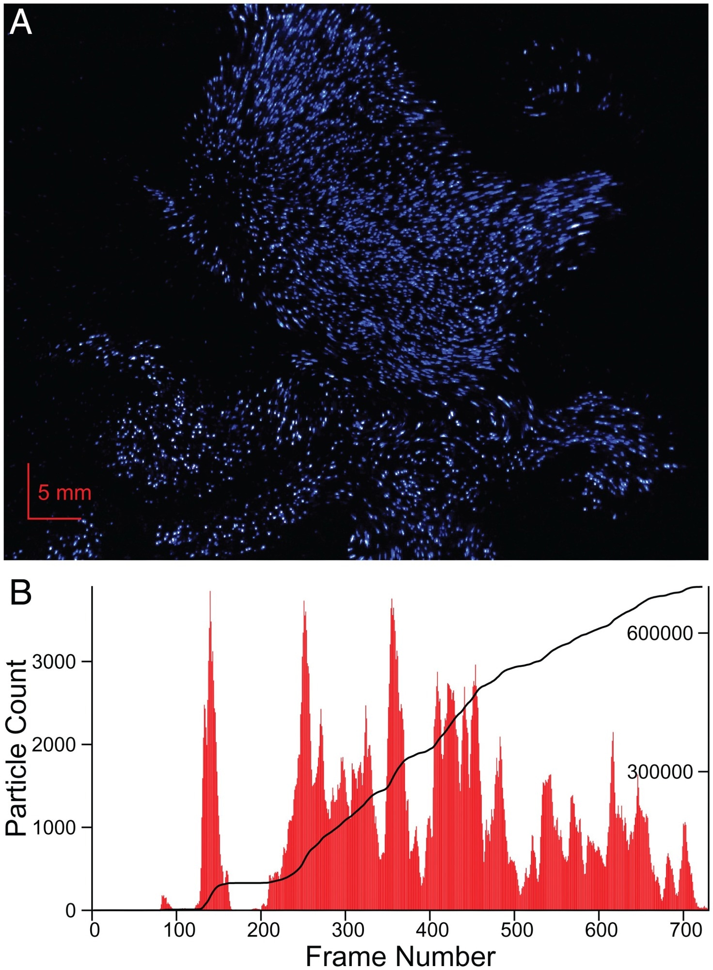 Video recording of laser light scattered by breath droplets. (A) Single frame of a 120-fps video recording of exhaled breath, crossing a 0.7-mm-thick sheet of blue laser light. Particles have undergone nucleated condensation, resulting in droplet sizes of ca. 1 to 2 μm. (B) Particle count as a function of frame number. The integral of the number is depicted by the solid black line, with the scale marked on the right side. Because the sheet crossing time (ca. 3 ms) is shorter than the duration of a single frame, very few droplets are visible in consecutive frames. The video is available at https://doi.org/10.5281/zenodo.6131524.