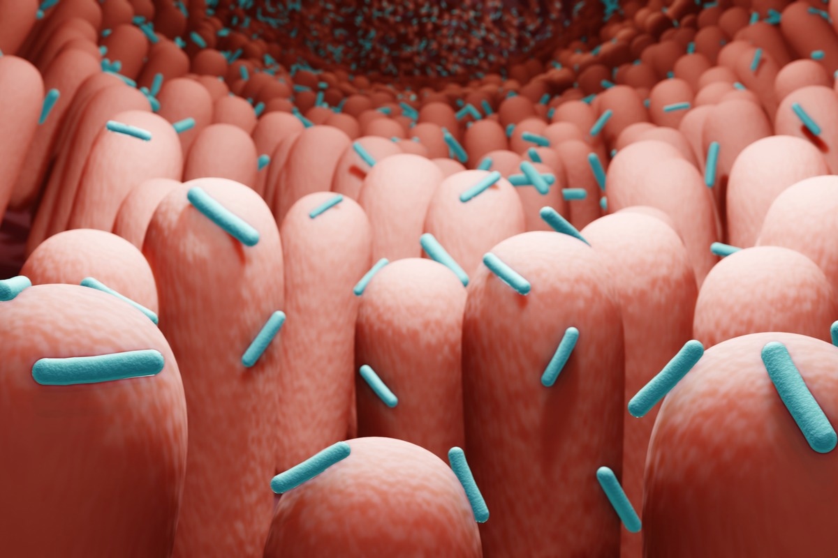 Study: Gut microbiota from patients with mild COVID-19 cause alterations in mice that resemble post-COVID syndrome. Image Credit: ART-ur/Shutterstock