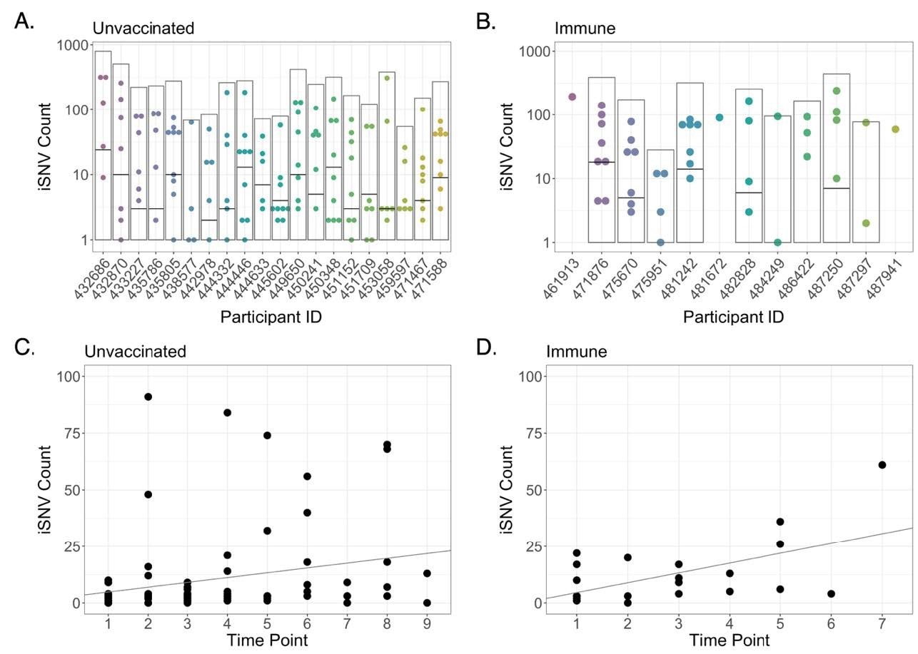 Intra-host single nucleotide variant (iSNV) diversity compared between samples and individuals. (A) Total iSNV counts for each sample from each unvaccinated participant. Light grey boxes indicate total iSNV count for all samples and horizontal black lines indicate number of shared iSNVs for each participant. (B) iSNV counts for immune participants. (C) iSNV counts for individual samples with Ct < 25 from naïve participants as a function of number of days post-enrollment (Adjusted R-squared = 0.05007, p = 0.02255). Line represents linear regression. (D) iSNV counts for individual samples with Ct < 25 from immune participants as a function of number of days post-enrollment (Adjusted R-squared = 0.2857, p = 0.006359). Line represents linear regression.