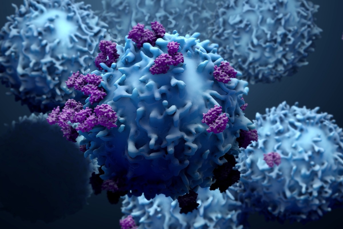 Image Credit: Design_Cells/Shutterstock.com