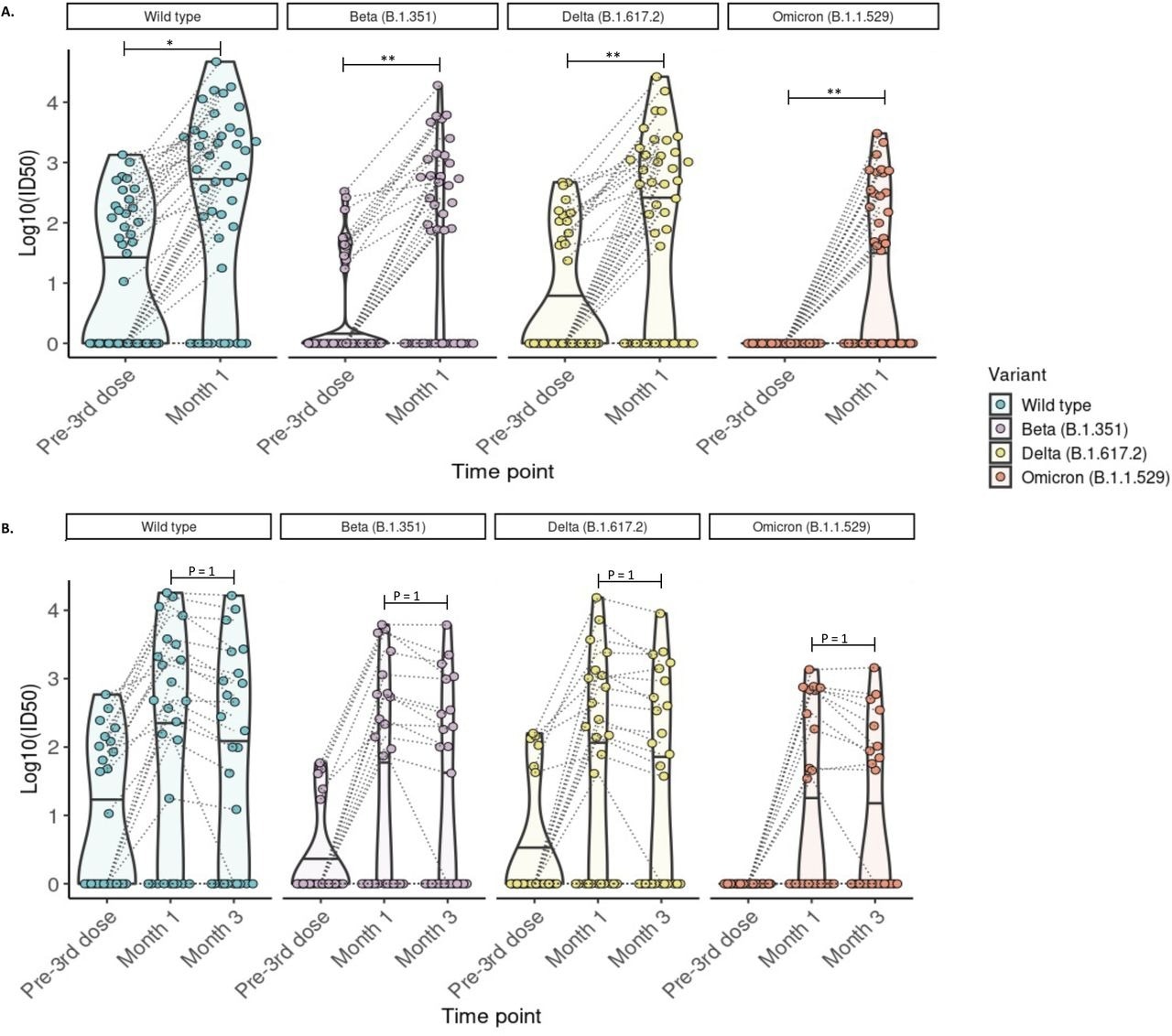 Detection of neutralizing antibodies against SARS-CoV-2 wild-type, Beta, Delta, and Omicron (BA.1) variants at 1 and 3 months post-third mRNA vaccine dose. A) Neutralizing antibodies were detected in 44 participants with blood samples drawn pre- and at 1-month post-third dose. The proportion of kidney transplant recipients with detectable neutralizing antibody (Log10ID50 >0) was significantly increased for all variants (McNemar test with continuity correction; wild-type p =0.026, Beta
