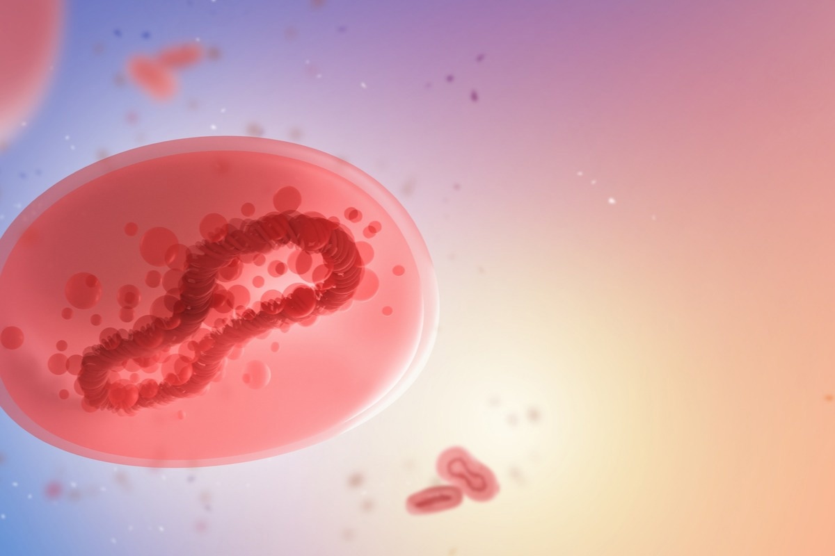 Study: Neurological and psychiatric presentations associated with human monkeypox virus infection: a systematic review and meta-analysis. Image Credit: FOTOGRIN/Shutterstock