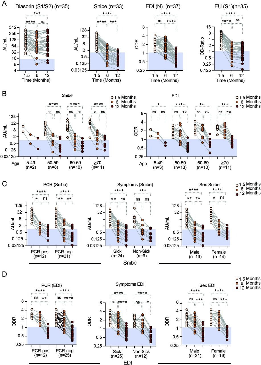 Anti-SARS-CoV-2 antibody levels over time as assessed with the three quantitative and one semiquantitative (EU) antibody tests as indicated A) all participants. Stratified by B) age for the Snibe (left panel) and EDI test (right panel). C) Results from the Diasorin Snibe antibody test stratified for PCR status (left panel), asymptomatic vs. symptomatic disease (middle panel) and sex (right panel). D) same as C for EDI test.