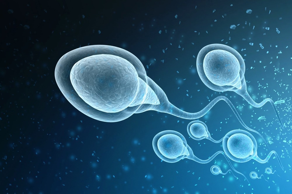 Study: Cellular and Molecular Mechanisms of In Vivo and In Vitro SARS-CoV-2 Infection: A Lesson from Human Sperm. Image Credit: WHITE MARKERS/Shutterstock