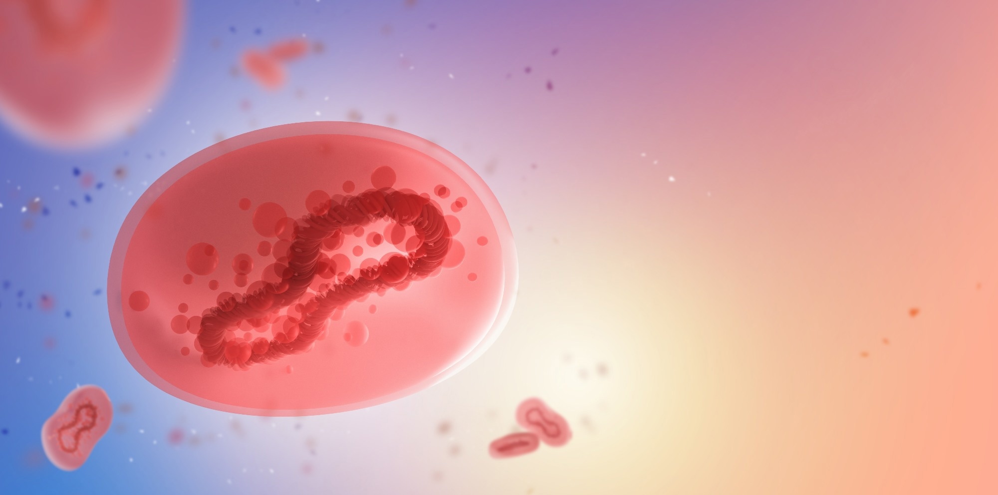 Study: Defining antigen targets to dissect vaccinia virus (VACV) and Monkeypox virus (MPXV)-specific T cell responses in humans. Image Credit: FOTOGRIN/Shutterstock