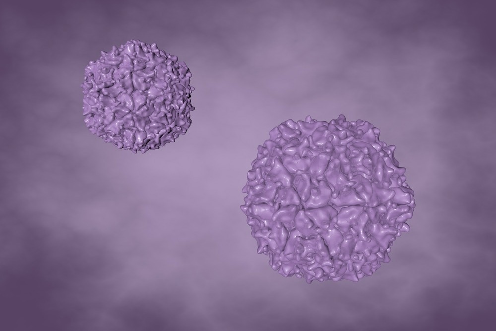 Study: Detection of circulating vaccine derived polio virus 2 (cVDPV2) in environmental samples– the United Kingdom of Great Britain and Northern Ireland and the United States of America. Image Credit: Maryna Olyak/Shutterstock