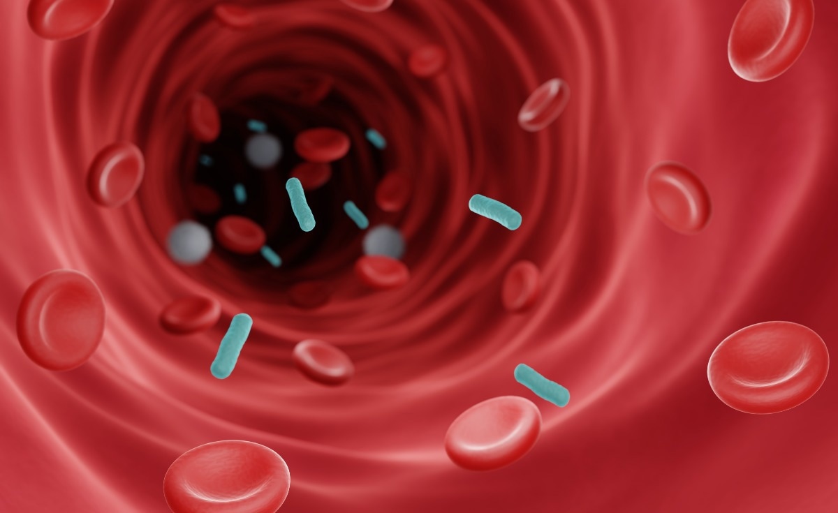 Image Credit: ART-ur/Shutterstock