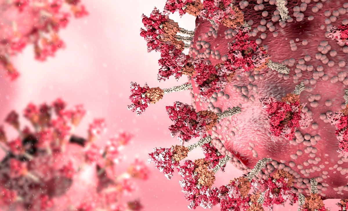 Study: Post-vaccination neutralization responses to Omicron sub-variants. Image Credit: Naeblys/Shutterstock