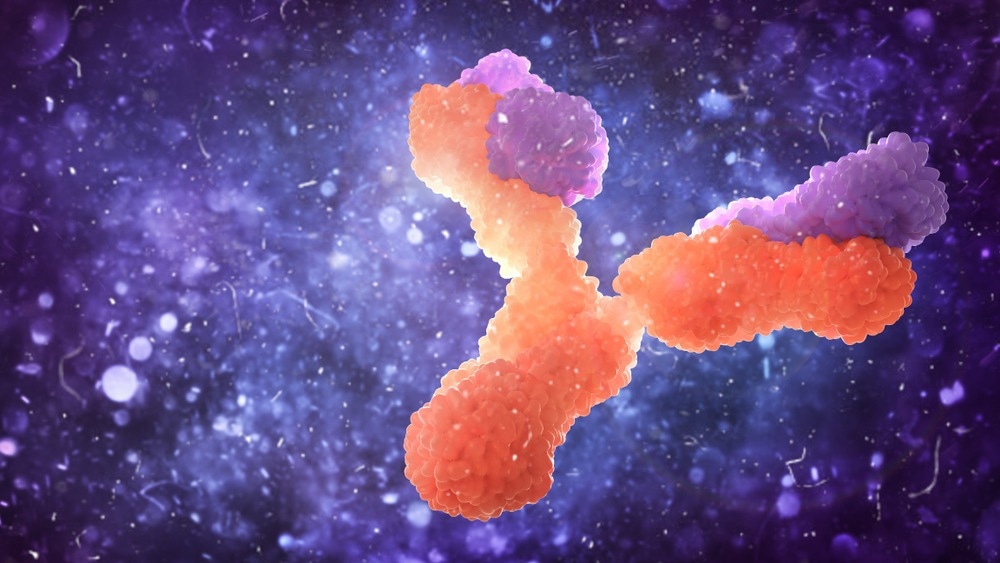 Study: Molecular basis of SARS-CoV-2 Omicron variant evasion from shared neutralizing antibody response. Image Credit: vipman/Shutterstock