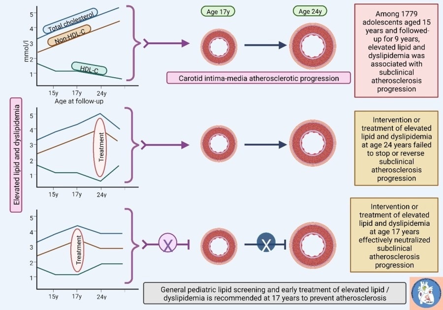 Lipid screening and dyslipidemia intervention in adolescence may stop atherosclerosis progression