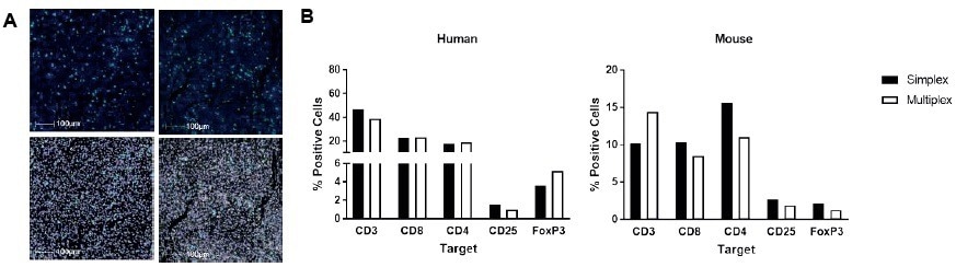 Detecting tissue-resident memory T cells in solid tumors