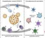 Detection of early-formed, antigen-specific clones in SARS-CoV-2-reactive B cells after longitudinal analysis