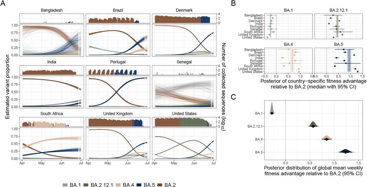 Estimating variant dynamics and fitness advantages. (A) The model estimated variant dynamics in a subset of countries. Colors indicate variants, and lines represent draws from the marginal posterior distributions of the country-specific estimates. The top panel shows the number of sequences collected over time, colored by the dominant variant at that time, as is observed in the data. (B) Country-specific fitness advantages for selected variants (points). The vertical line indicates a global estimate of variant fitness advantage. Bars and bands indicate 95% credible intervals. (C) Global posterior fitness advantage distributions for selected variants. Points indicate the median, and bars indicate 95% credible intervals.