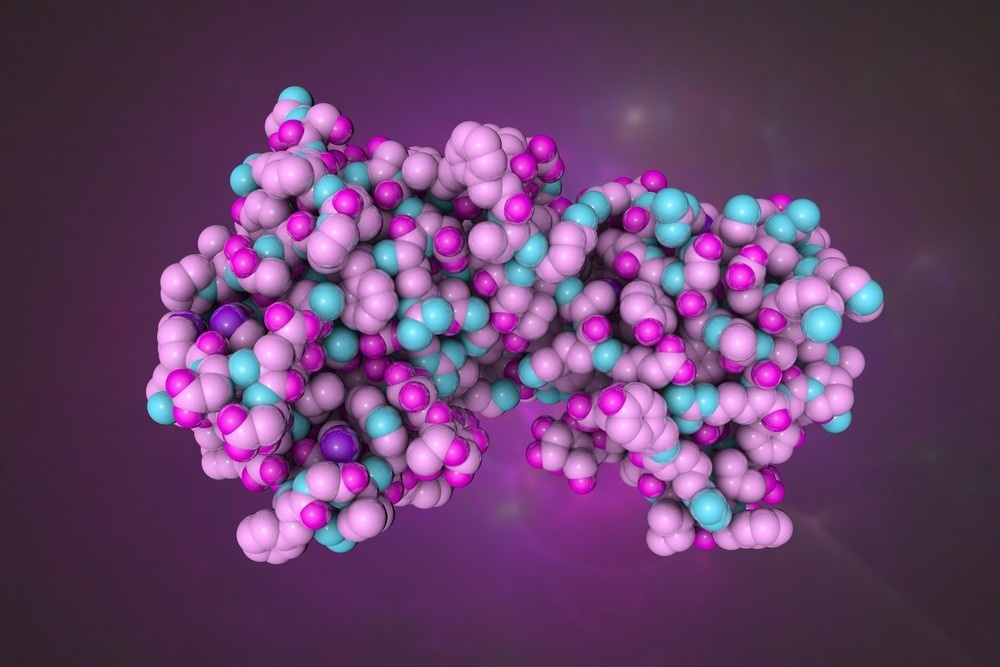 Study: The role of galectins in immunity and infection. Image Credit: Maryna Olyak/Shutterstock.com