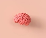How does the brain change with age?