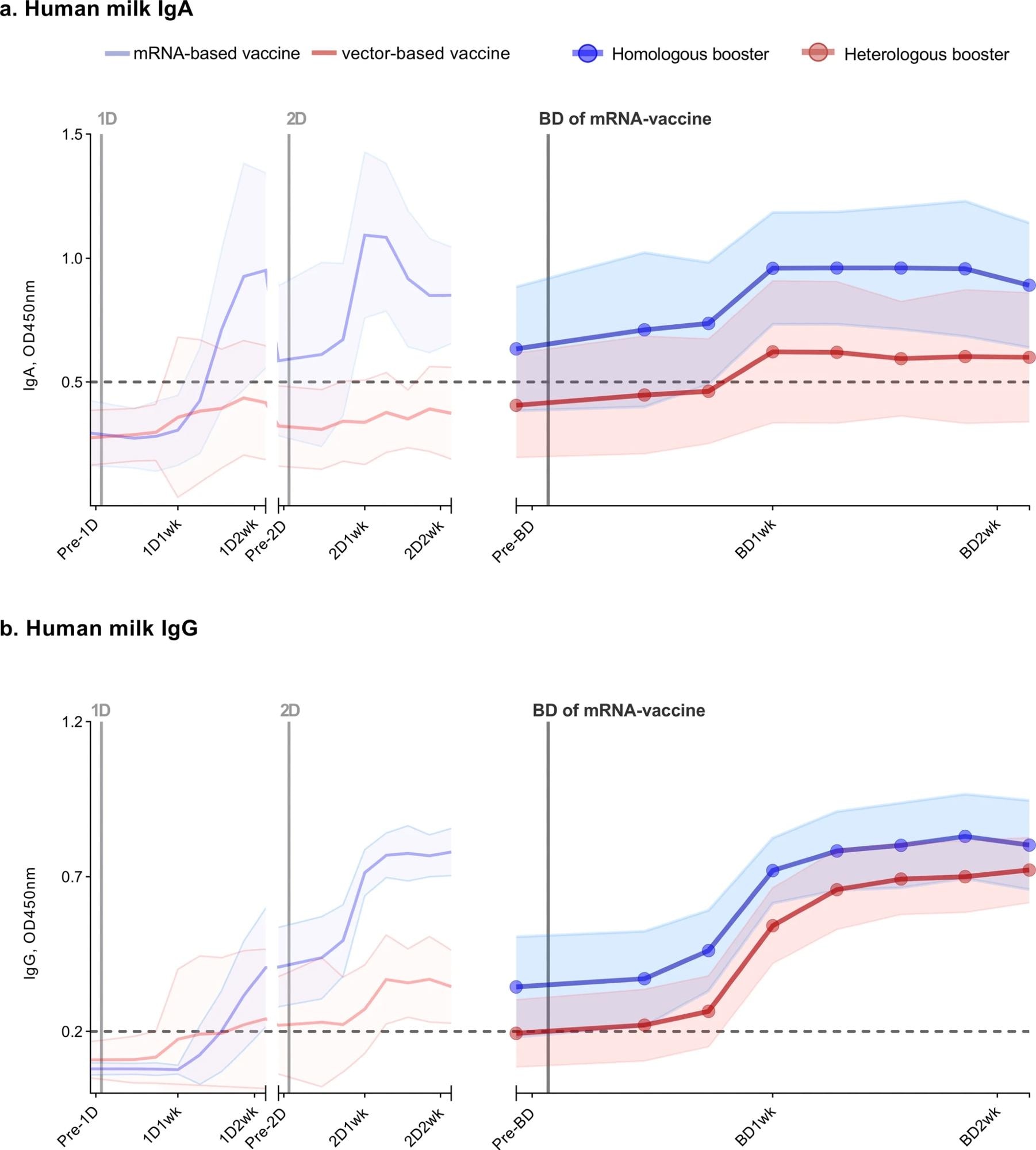 Antibody response in human milk of 26 lactating women vaccinated against COVID-19. SARS-CoV-2-specific immunoglobulin A (a) and immunoglobulin G (b) in human milk were measured using an ELISA with the SARS-CoV-2 spike protein. Participants either received a primary series with an mRNA vaccine (2 × mRNA-1273 or 2 × BNT162b2), subsequently following a homologous boosting schedule (n = 13), or a vector-based vaccine (2 × AZD1222 or 1 × Ad26.COV2.S) and thus following a heterologous boosting schedule (n = 13). The left part of both graphs (from pre-1D to 2D2wk), is already described in our previous study. The time between the first dose and booster dose in the homologous group was, on average, 338 days (BNT162b2) and 262 days (mRNA-1273), and in the heterologous group, 234 days (Ad26.COV2.S) and 285 days (AZD1222). Analyzed samples were collected prior to a vaccine dose, 3 days, 5 days, 7 days, 9 days, 11 days, 13 days, and 15 days after a vaccine dose. 1D, first vaccine dose; 2D, second vaccine dose; BD, mRNA-vaccine booster vaccine; Pre, one day prior to; 1wk, one week after; 2wk, two weeks after vaccine dose. Data points represent the mean of all measurements per group; the shaded area around the mean represents the standard deviation. Cutoff values are indicated with dashed lines. OD450nm, optical density 450 nm.
