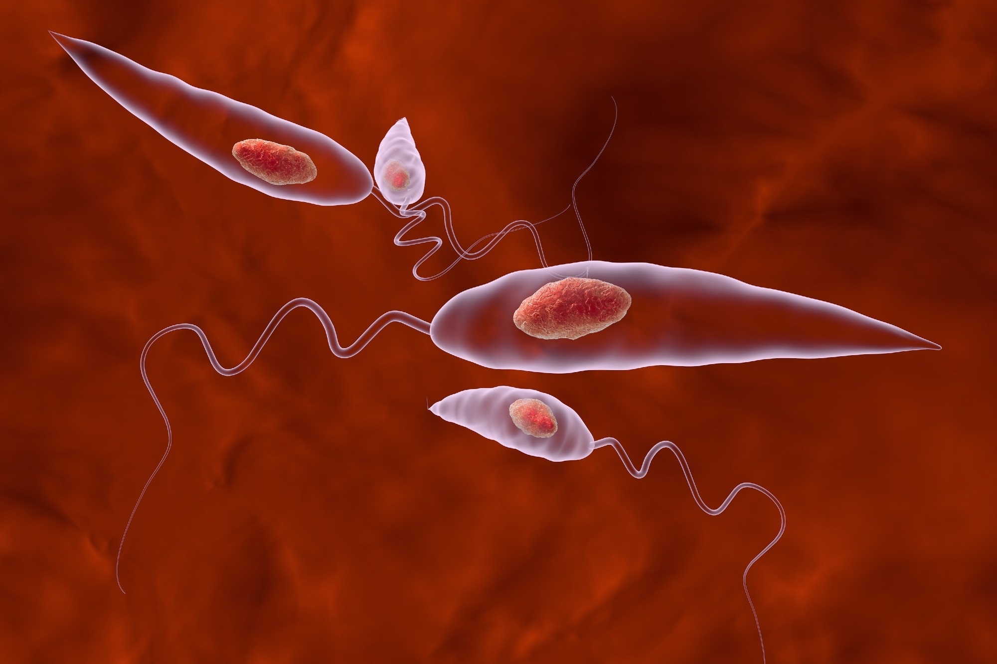 Study: Multi-omic profiling of cutaneous leishmaniasis infections reveals microbiota-driven mechanisms underlying disease severity. Image Credit: Kateryna Kon / Shutterstock