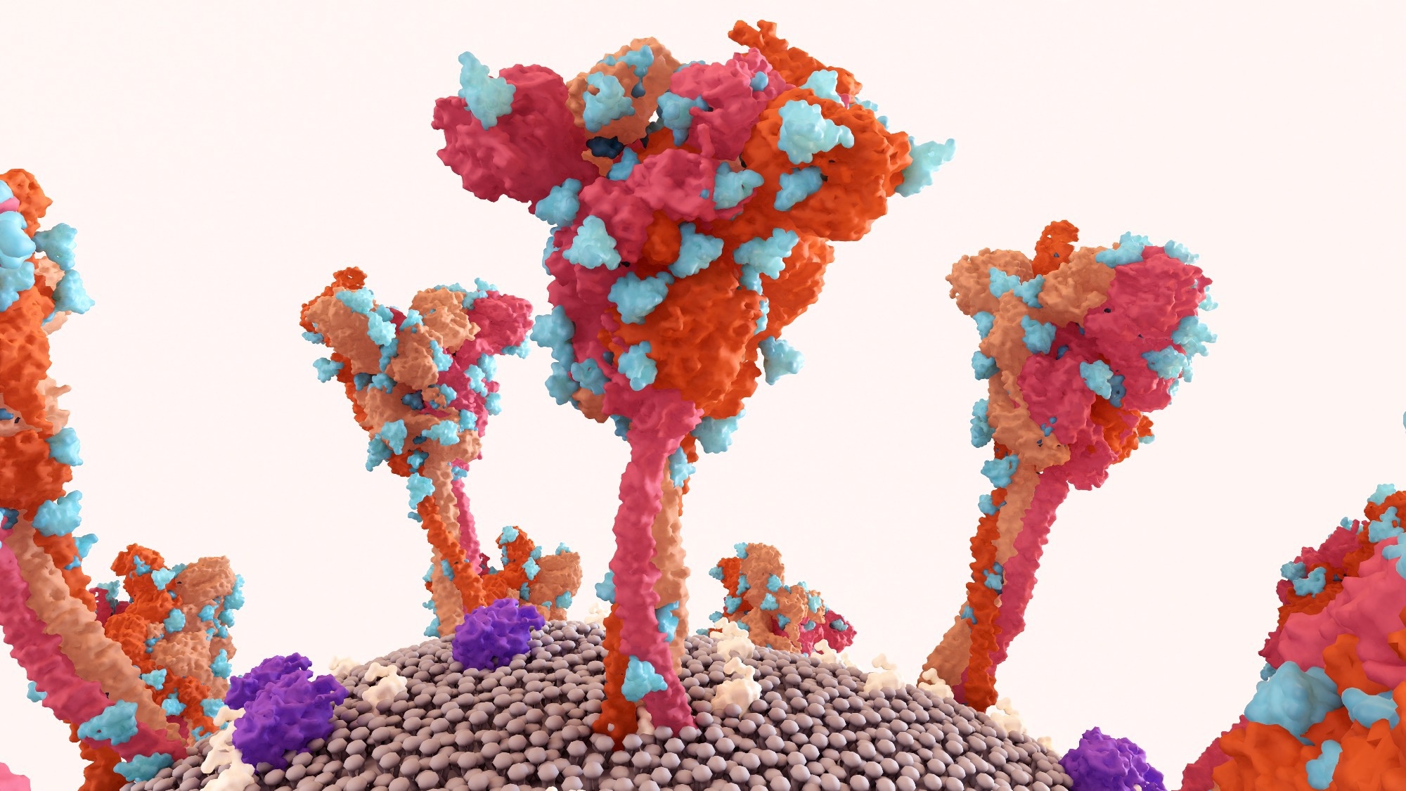 Study: Amyloidogenic proteins in the SARS-CoV and SARS-CoV-2 proteomes. Image Credit: Design_Cells / Shutterstock