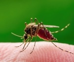 The impact of climate change on West Nile virus transmission