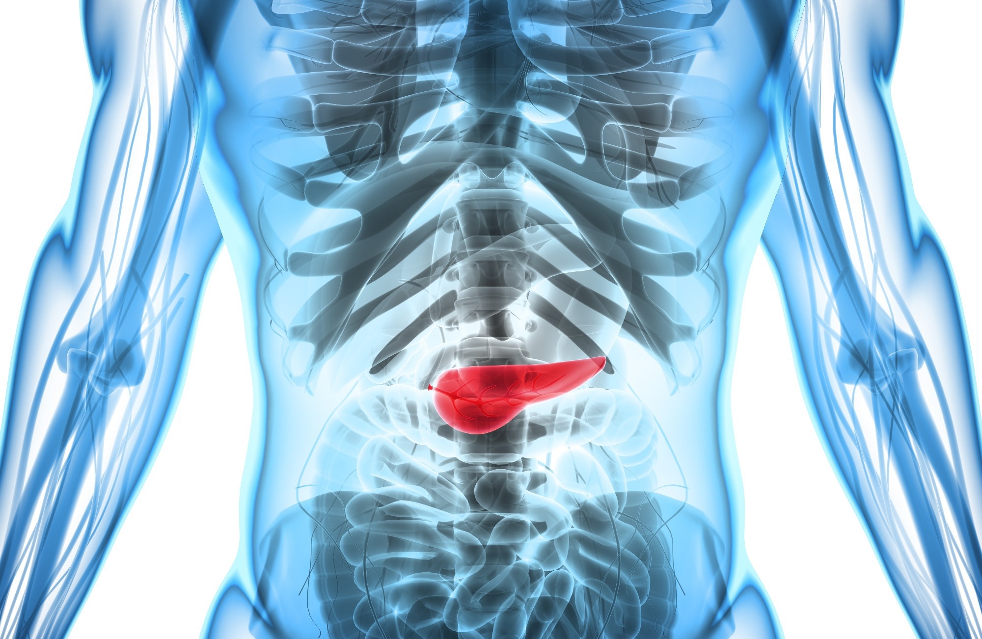 Study: Pancreatic Cancer Cell and Gene Biotherapies: Past, Present, and Future. Image Credit: MDGRPHCS / Shutterstock