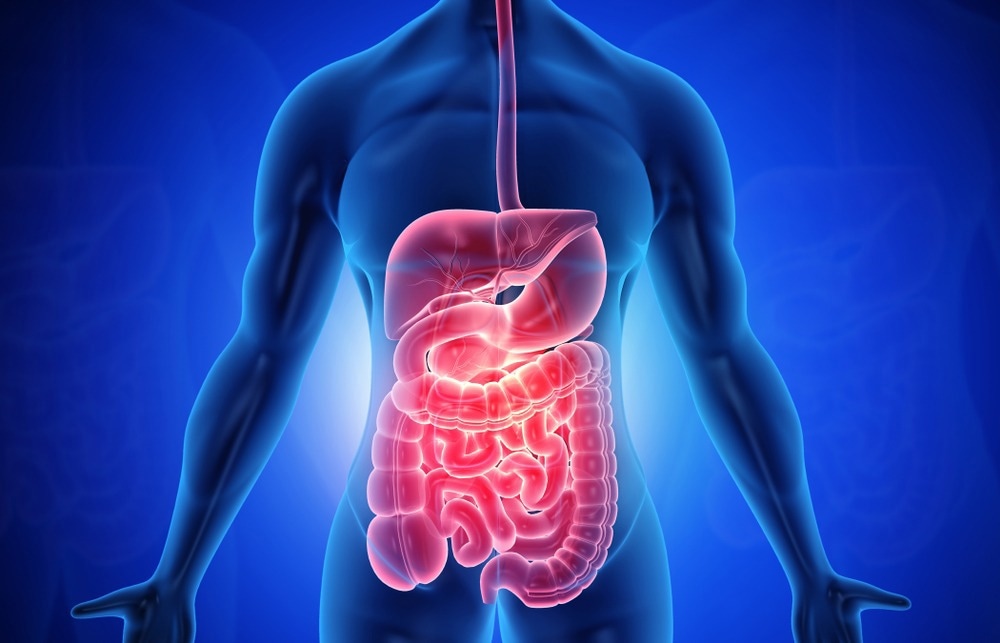 Study: Long-term gastrointestinal outcomes of COVID-19. Image Credit: Explode/Shutterstock