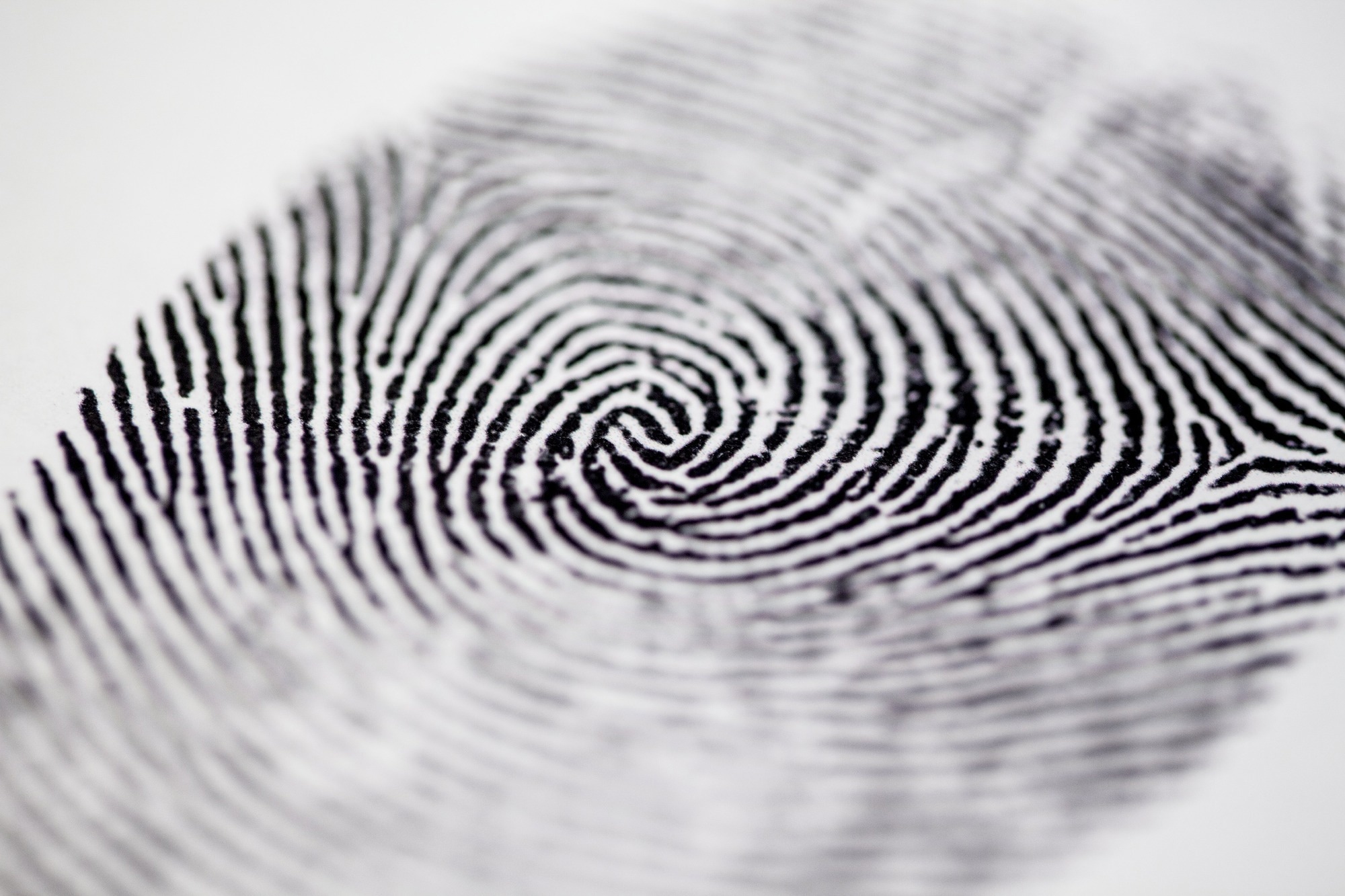 Study: The developmental basis of fingerprint pattern formation and variation. Image Credit: Derek Hatfield / Shutterstock