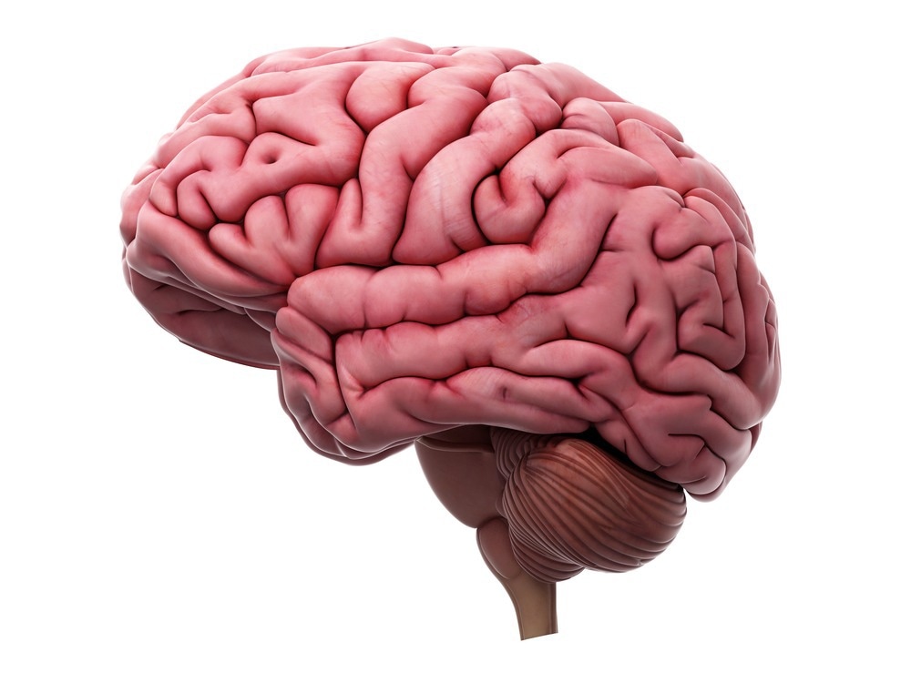 Study: SARS-CoV-2 Spike Protein Accumulation in the Skull-Meninges-Brain Axis: Potential Implications for Long-Term Neurological Complications in post-COVID-19. Image Credit: SciePro/Shutterstock.com