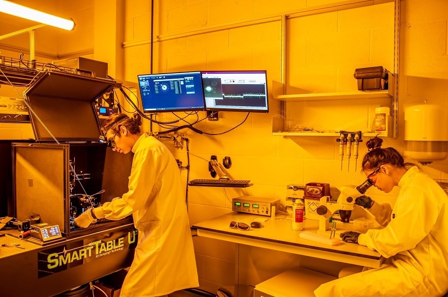 New technology allows to study how a single protein behaves and changes over time