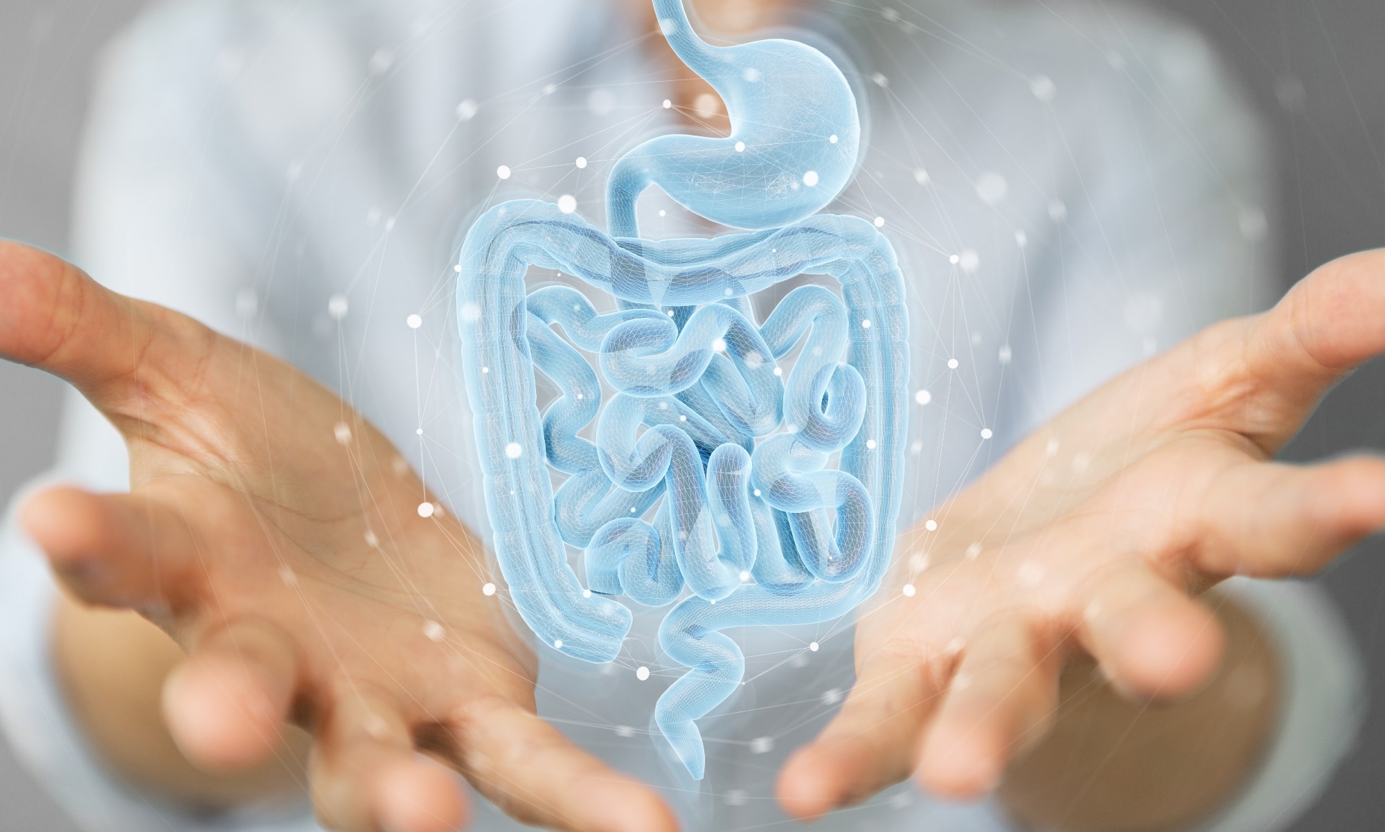 Study: Profiling the human intestinal environment under physiological conditions. Image Credit: sdecoret/Shutterstock.com