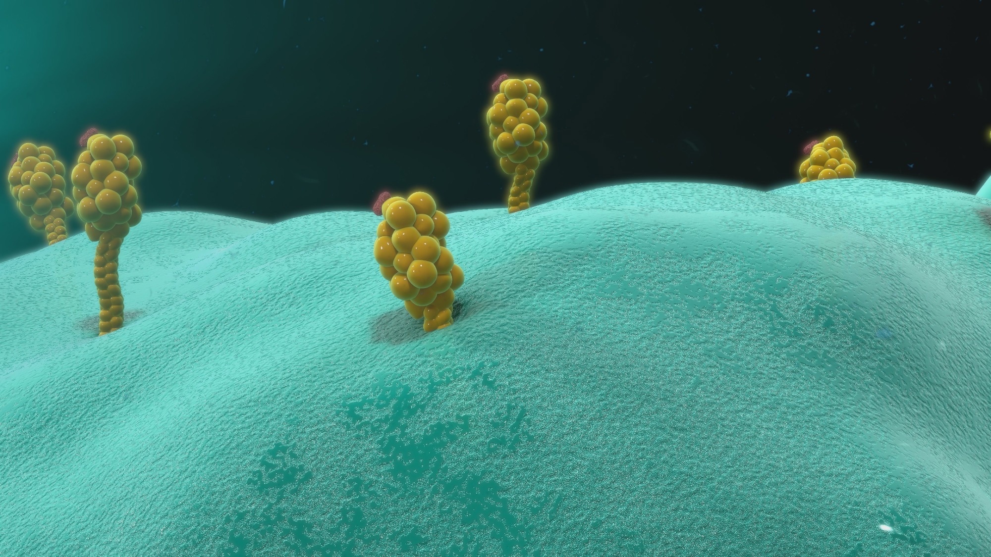 Study: A common allele of HLA is associated with asymptomatic SARS-CoV-2 infection. Image Credit: sciencepics/Shutterstock.com