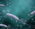 How does Helicobacter pylori infection influence rheumatoid arthritis?