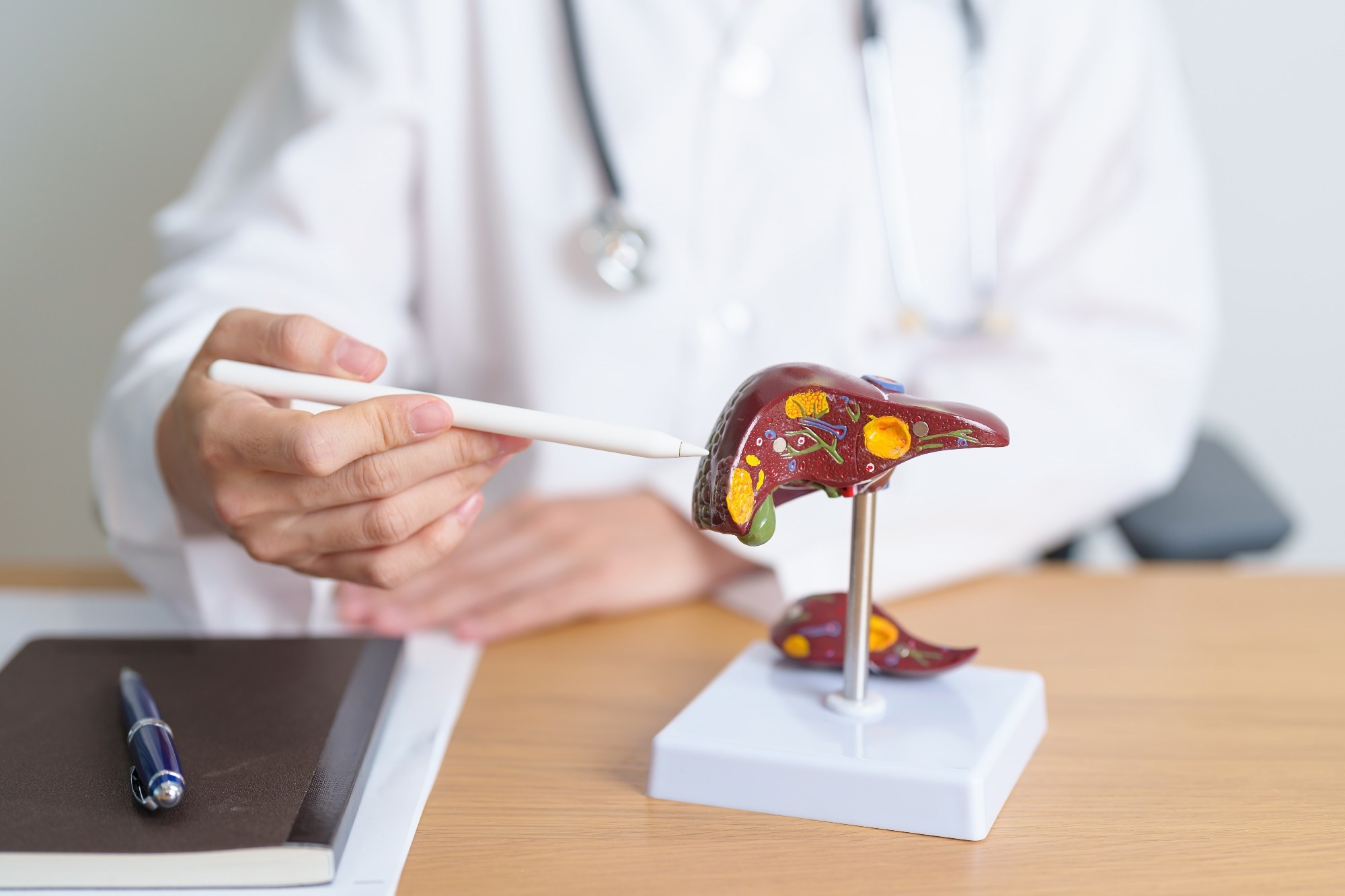 Study: BMAL1 deletion protects against obesity and non-alcoholic fatty liver disease induced by a high-fat diet. Image Credit: Jo Panuwat D / Shtuterstock.com