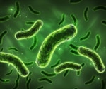 Leaky gut linked to depressive disorders: New insights into microbiota-induced epigenetic changes