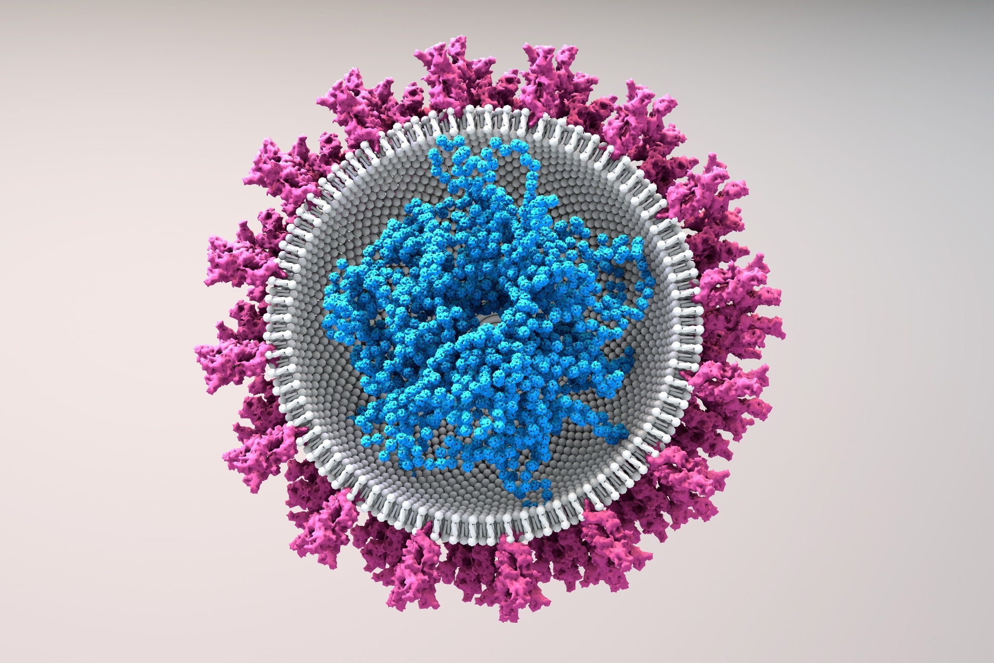 Study: Strategies to reduce the risks of mRNA drug and vaccine toxicity. Image Credit: Design_Cells / Shutterstock