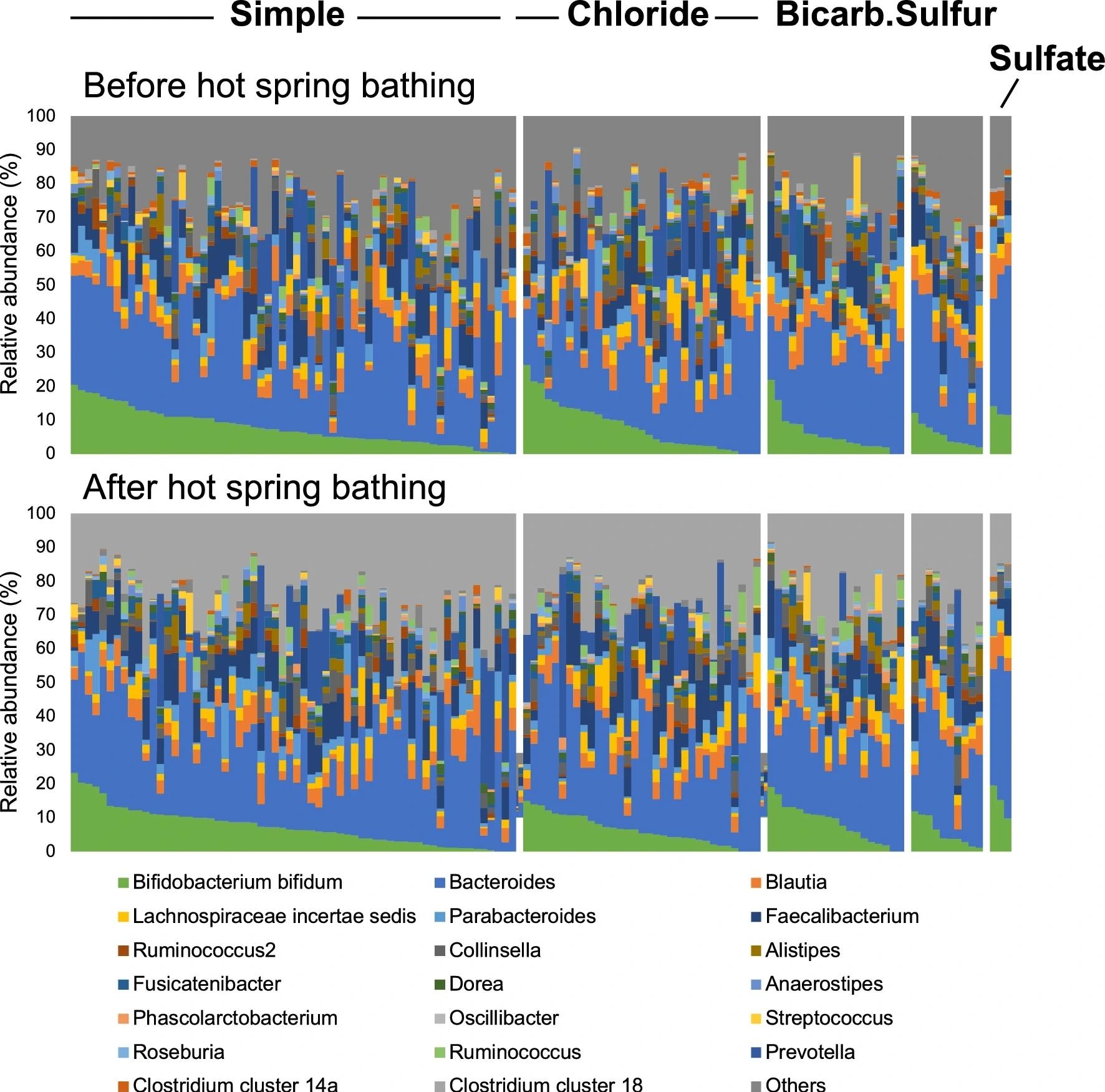 Comparisons of the relative abundance of gut microbiota before and after hot spring bathing. One of the stacked bars corresponds to one individual. Each hot spring bathing group is shown as a single mass, arranged starting with the individual with the highest Bifidobacterium bifidum value on the left. The upper row indicates before bathing, and the lower row indicates after bathing. The order of individuals is not identical in the upper and lower rows. ‘Bicarb.’ indicates ‘Bicarbonate’.