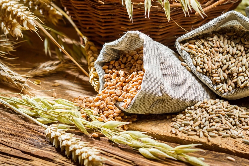 Study: Associations of cereal fiber intake with rheumatoid arthritis mediated by dietary inflammatory index: insights from NHANES 2011–2020. Image Credit: Shaiith/Shutterstock.com