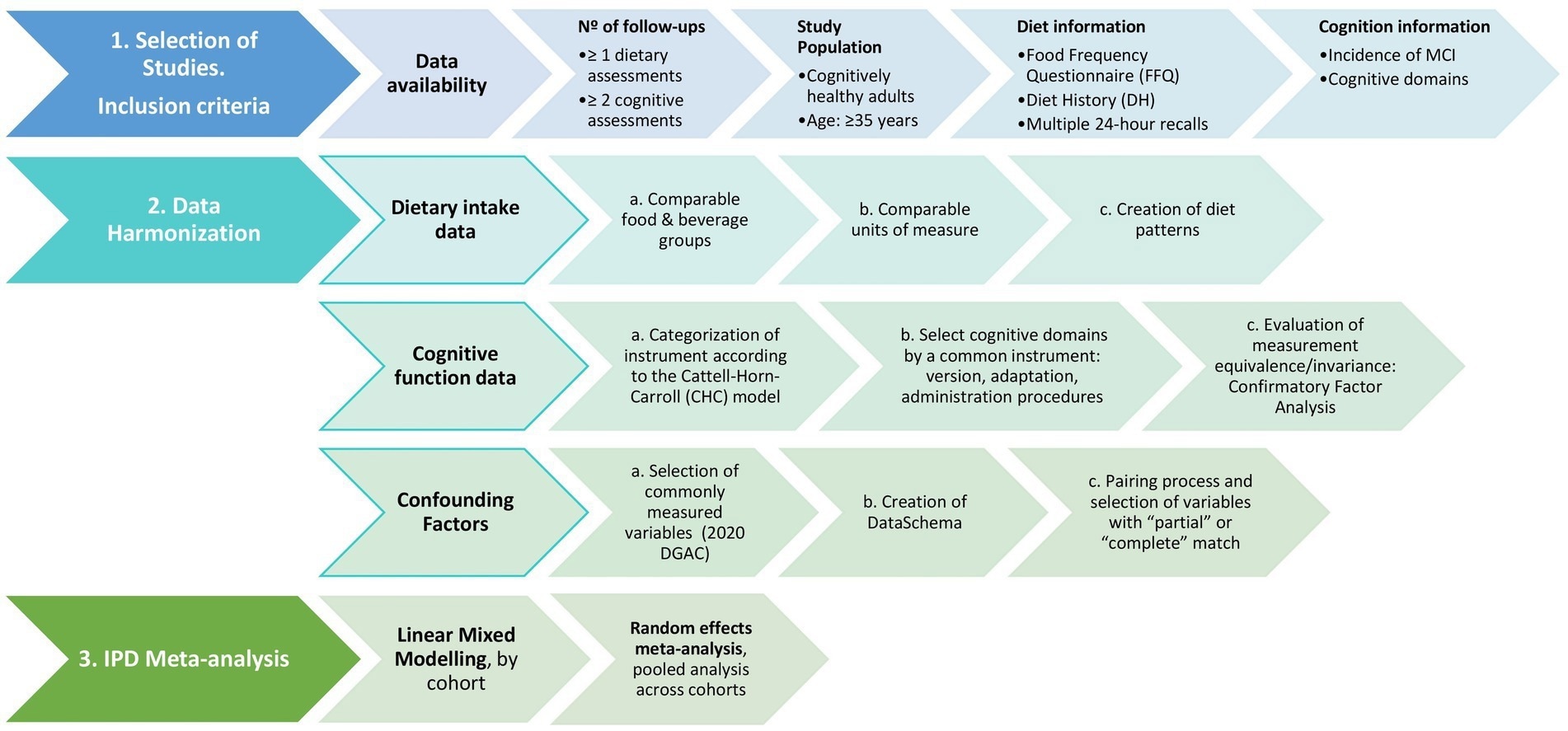 Schematic study protocol to assess the association between diet patterns and cognitive decline.
