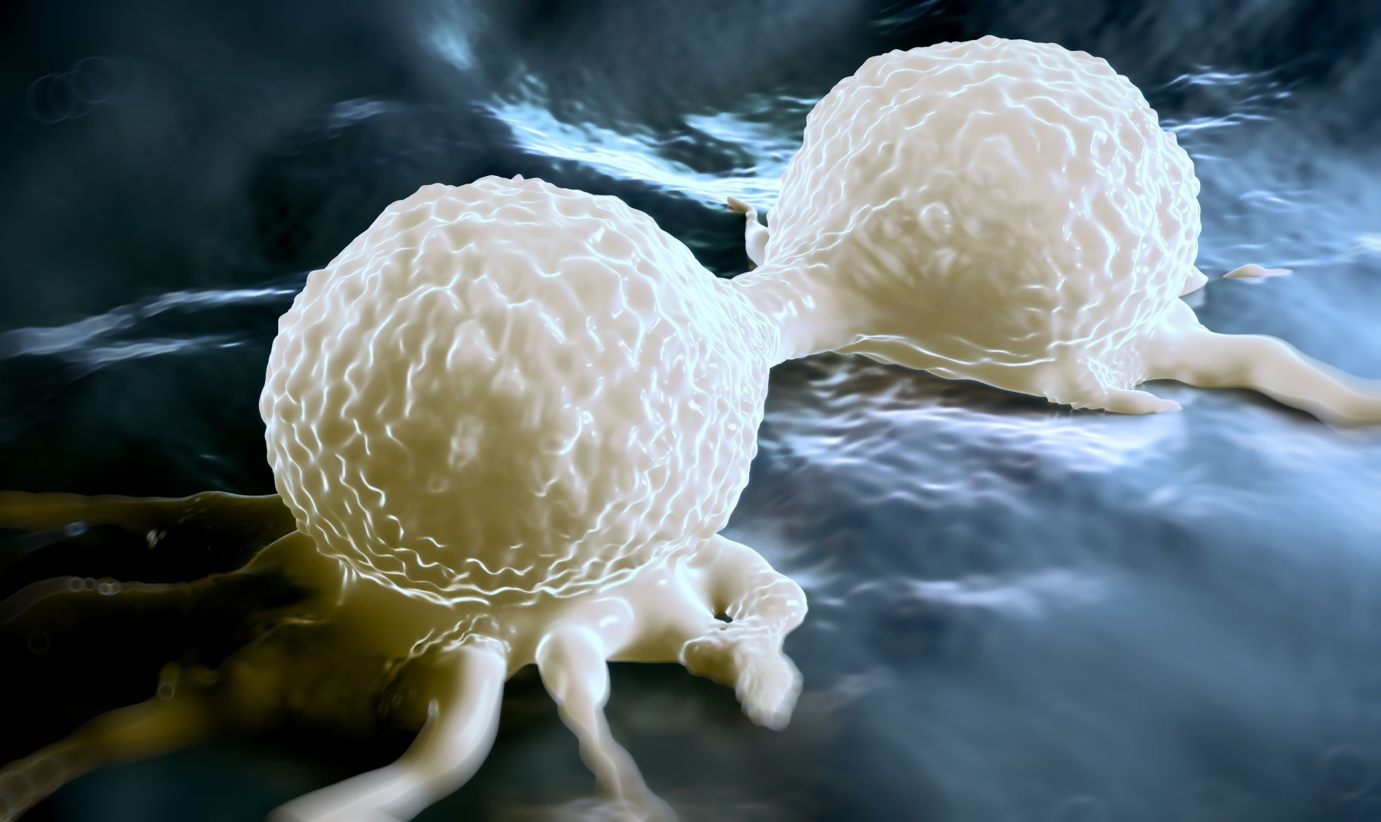 Study: The Vitamin D Receptor as a Prognostic Marker in Breast Cancer—A Cohort Study. Image Credit: Peddalanka Ramesh Babu / Shutterstock