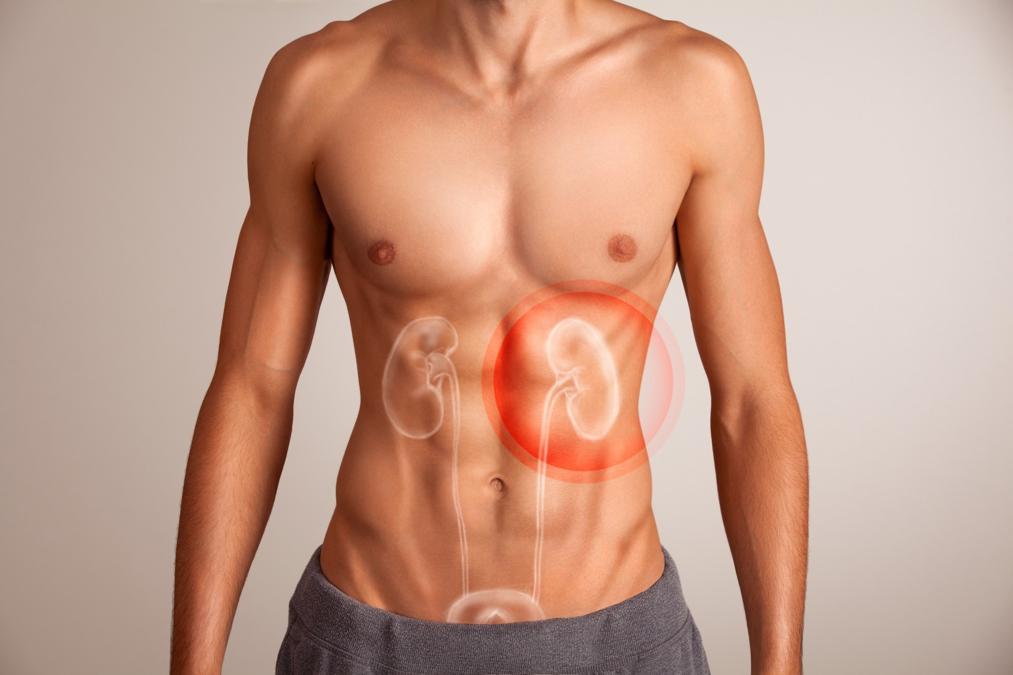 Study: Prevalence of impaired renal function among childless men as compared to fathers: a population-based studyImage Credit: BigBlueStudio / Shutterstock