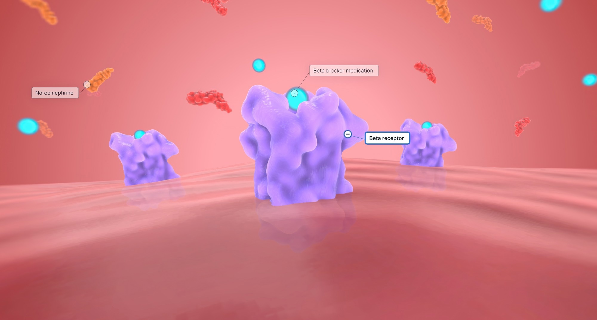 Study: Beta-Blockers after Myocardial Infarction and Preserved Ejection Fraction. Image Credit: aipicte / Shutterstock