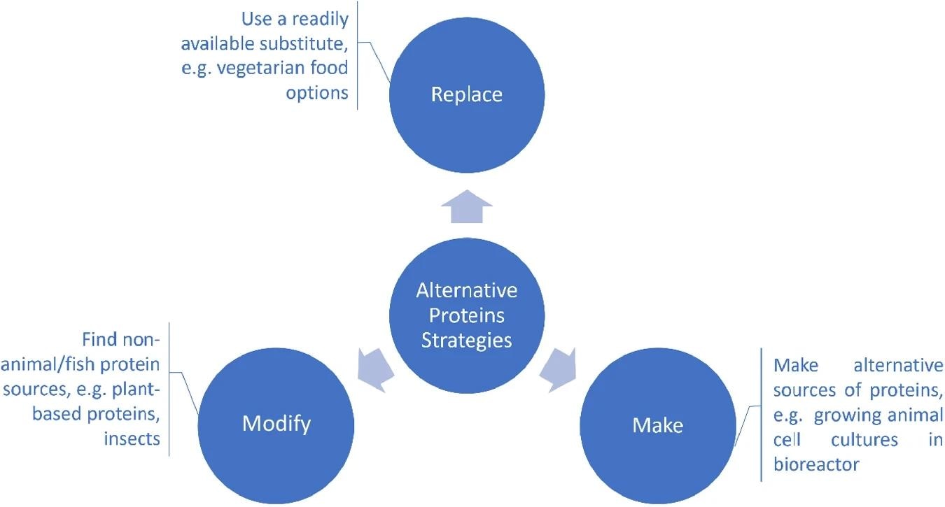 A problem-solving innovation strategy approach was used to design the startups eco-system. The problem to solve is to find an alternative to animal/fish-based proteins and when it comes to finding an alternative, there are three main options to consider: (1) using a replacement, (2) modifying existing non-animal/non-fish sources of proteins, and (3) making an alternative source of proteins. (1) Replace: this option involves using a readily available substitute for the target compound, e.g., current vegetarian diet options. (2) Modify: this option looks at modifying existing non-animal/non-fish sources of proteins to substitute the target compound, e.g., insect-based protein. (3) Make: This option comes from a product innovation standpoint, providing the most potential, while holding the biggest challenges. It includes using novel technological processes to make proteins, e.g. 3D bioprinting, cell-cultured products, precision fermentation etc.