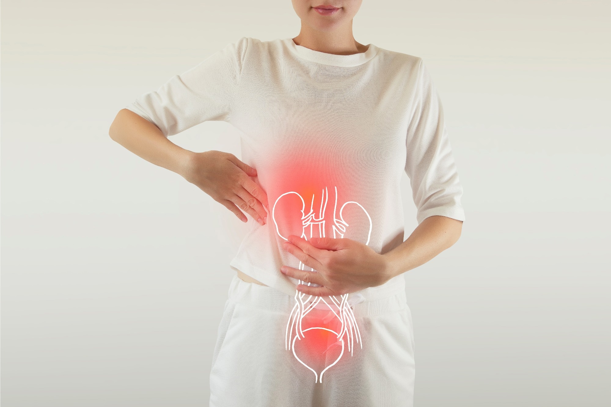 Study: Associations between Gut Microbiota Dysbiosis and Other Risk Factors in Women with a History of Urinary Tract Infections. Image Credit: mi_viri / Shutterstock.com