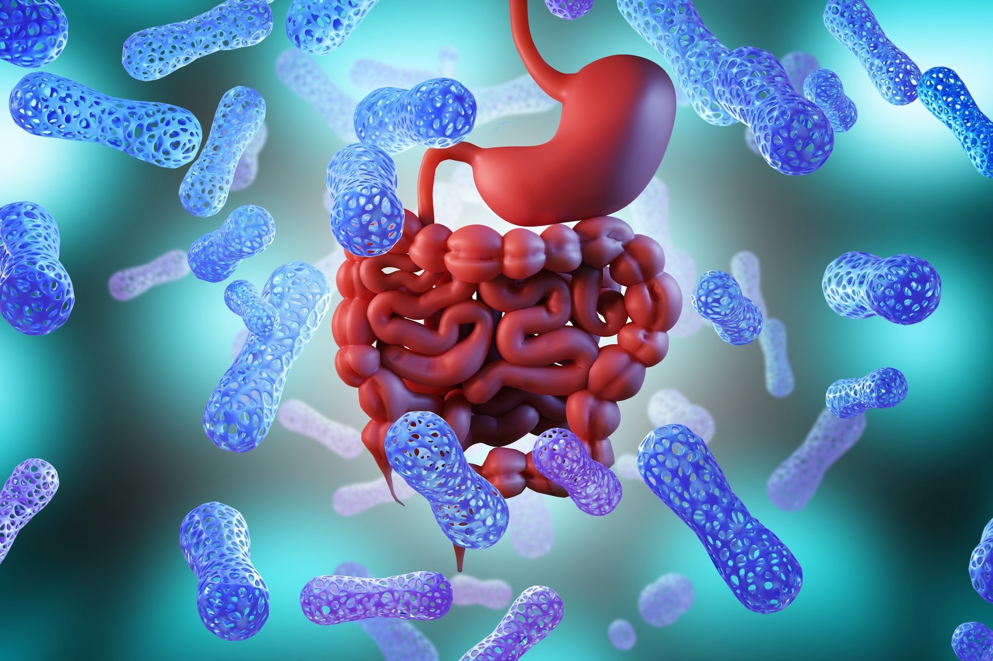 Research Briefing: Gut microbial age modulates cardiovascular disease risk in metabolically unhealthy older people. Image Credit: FOTOGRIN / Shutterstock