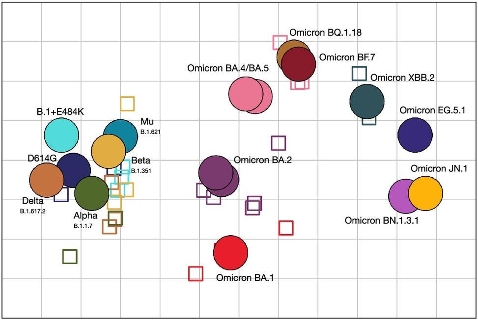 Antigenic map showing antigenic relationships between SARS-CoV-2 variants and sera. Distances between each variant and serum correspond to the fold change to the maximum titer for each serum. Viruses are shown as circles, sera as squares, with sera colored by the color of their homologous variant (blue: D614G, green: Alpha, dark-yellow: Beta, orange: Delta, green-blue: Mu, cyan: B.1+E484K, red: BA.1, orchid: BA.2 (2×, on top of each other), pink: BA.4 and BA.5, ochre: BQ.1.18, maroon: BF.7, sea-green: XBB.2, light-orchid: BN.1.3.1, dark blue: EG.4.1, yellow: JN.1). The side length of each grid square corresponds to a twofold serum dilution in the neutralization assay. The rotation of the map is arbitrary and is here oriented to correspond to previously published maps.