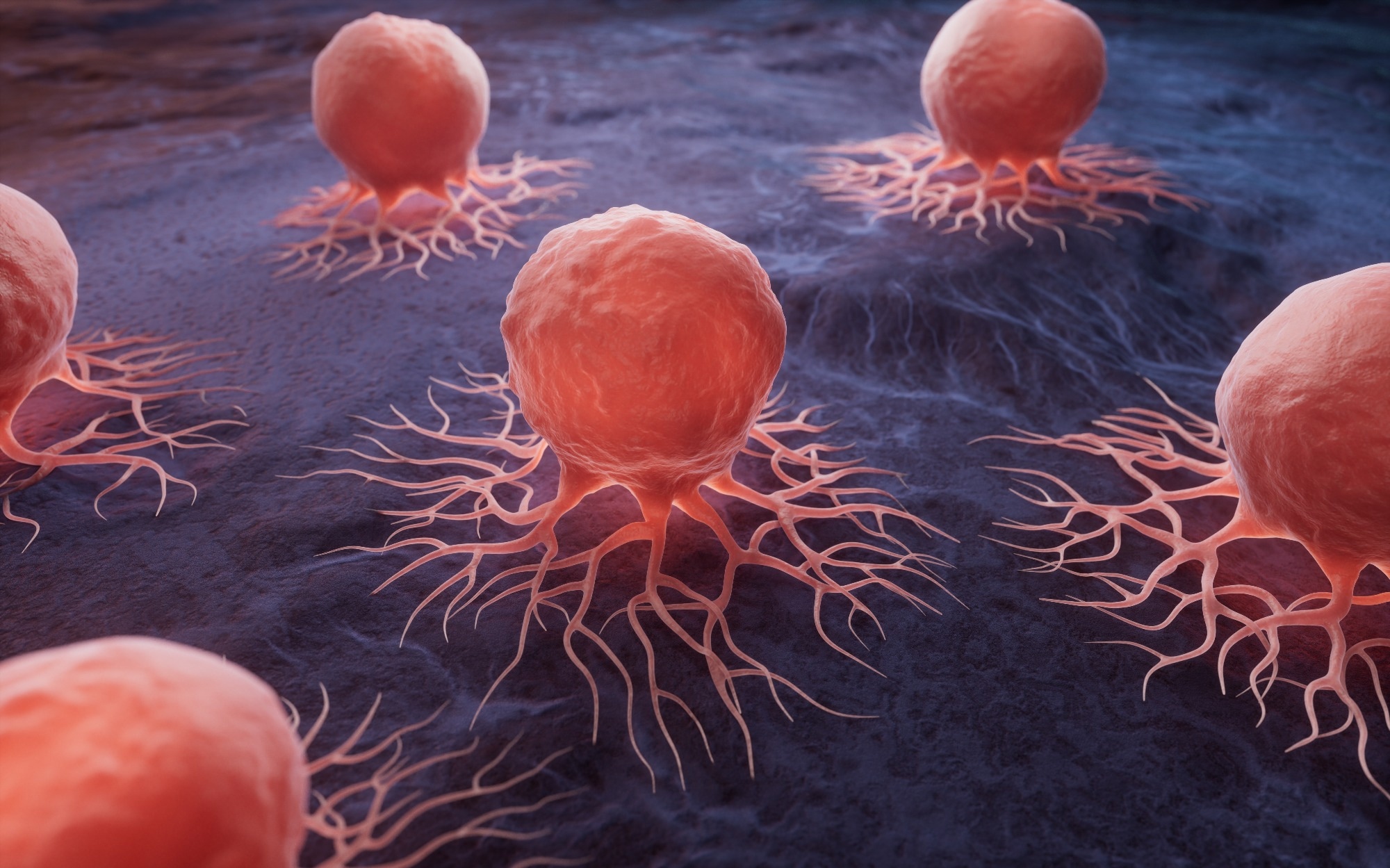 Study: Circulating inflammatory and immune response proteins and endometrial cancer risk: a nested case-control study and Mendelian randomization analyses. Image Credit: Vink Fan / Shutterstock.com