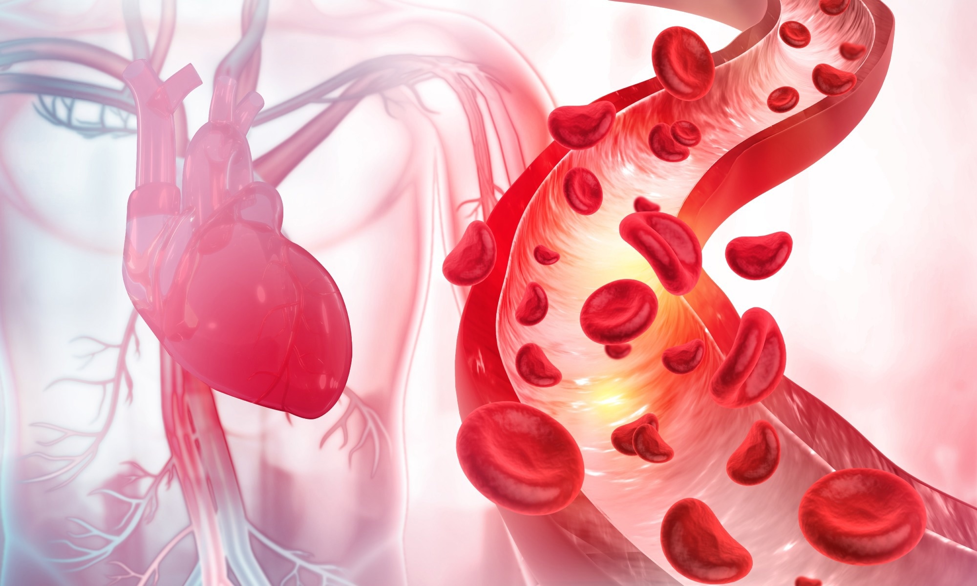 Study: COVID-19 Is a Coronary Artery Disease Risk Equivalent and Exhibits a Genetic Interaction with ABO Blood Type. Image Credit: crystal light / Shutterstock.com
