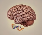 Epigenomic dynamics shape human brain development and neuropsychiatric disorder risks