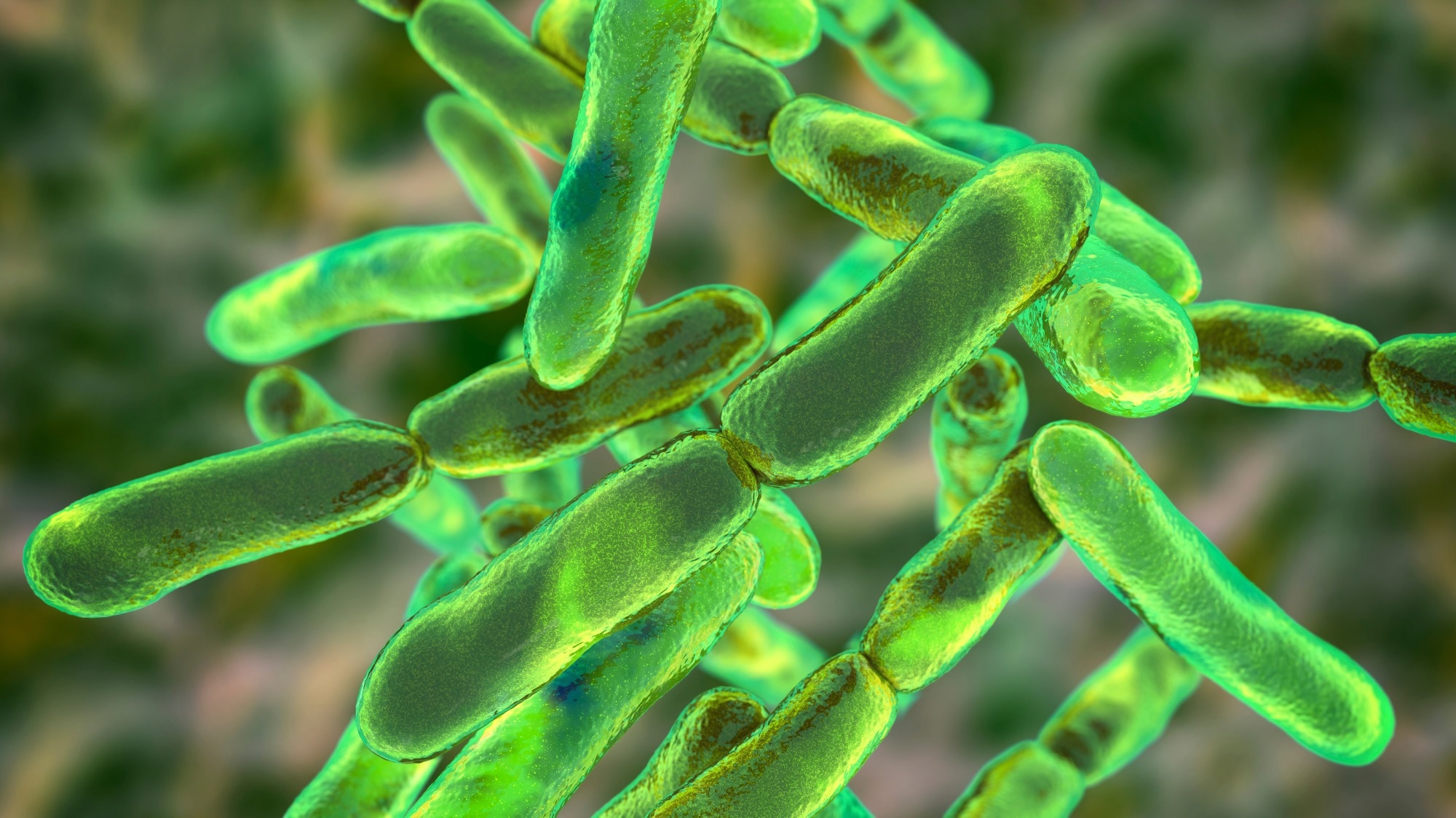 Study: Unraveling the relative abundance of psychobiotic bacteria in children with Autism Spectrum Disorder. Image Credit: Kateryna Kon / Shutterstock